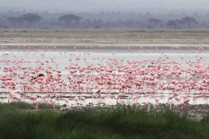 amboseli-kenya
